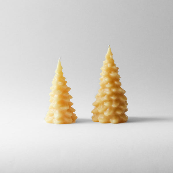 Spruce Tree, Natural