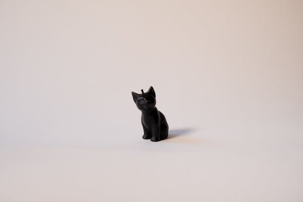 Charcoal dipped Kitty Cat