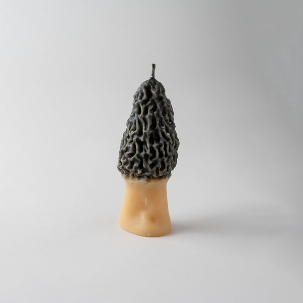 Charcoal Morel