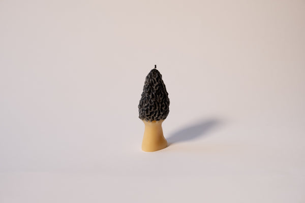 Charcoal Morel