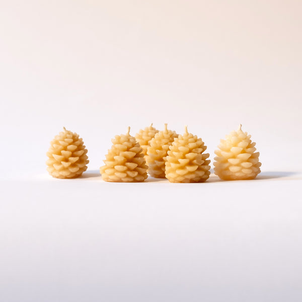 Mini Pinecone, Set of 6
