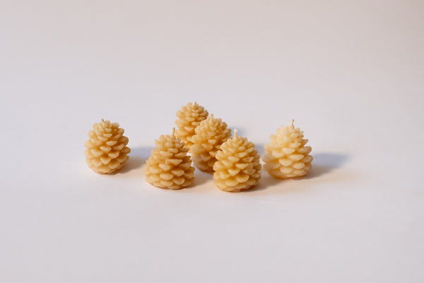 Mini Pinecone, Set of 6