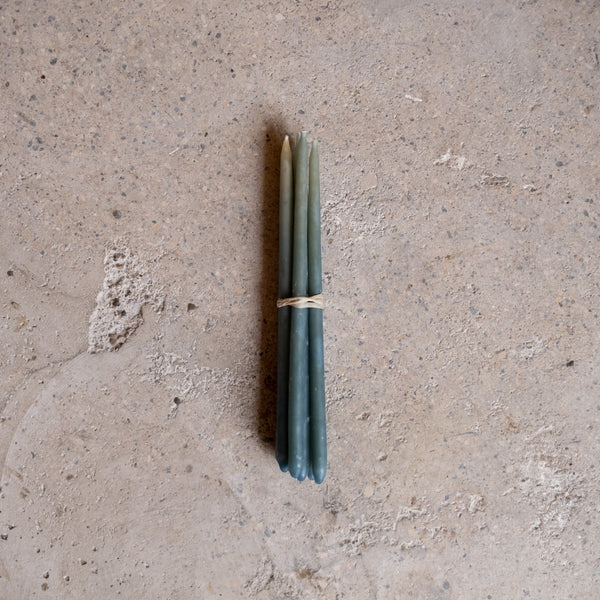Festive Bundle, Algae Blue